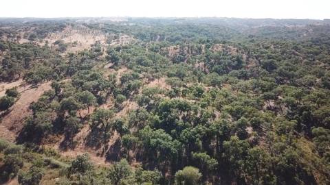 51Ha C/ Casa