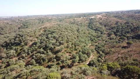 51Ha C/ Casa