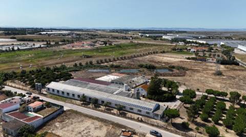 Terreno com 340 m2 em avos com eletricidade e loteamento - Passil (Alcochete)