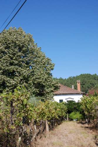 Vila Sant'Ana