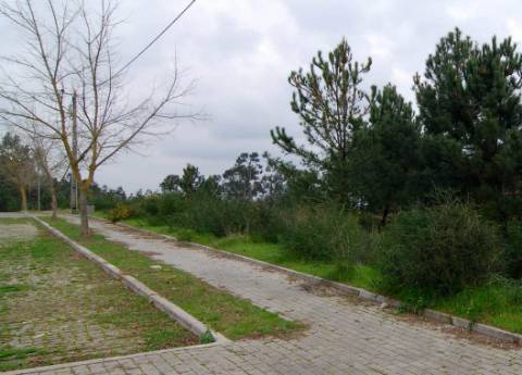 Lote para Moradia