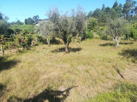 Terreno para Construção