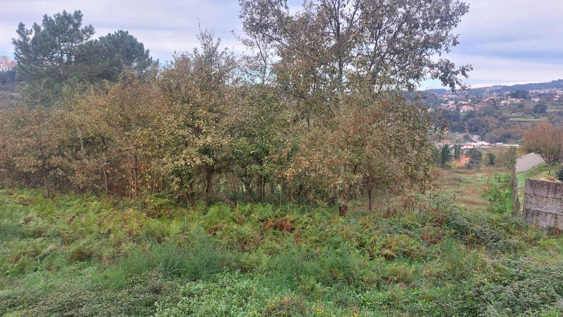 Terreno em Fornos - Zona Sossegada