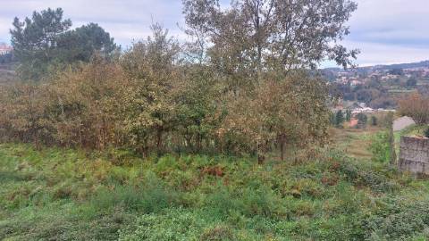 Terreno em Fornos - Zona Sossegada