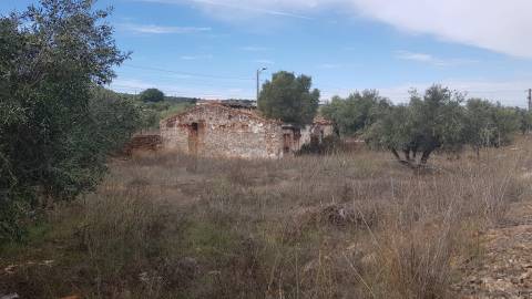 Alentejo - BORBA: Quinta em terreno Urbano para reconstrução/ construção de moradia, privacidade!