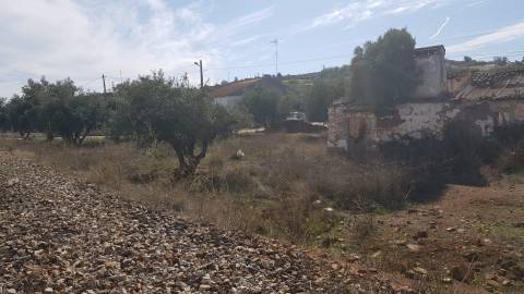 Alentejo - BORBA: Quinta em terreno Urbano para reconstrução/ construção de moradia, privacidade!