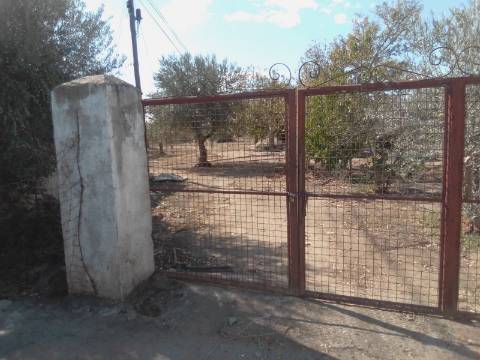 QUINTINHA URBANA NO ALENTEJO