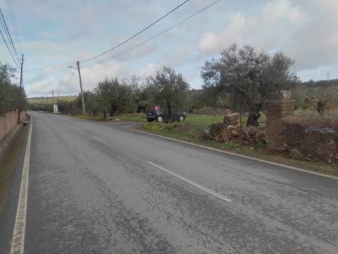 ALQUEVA: Terreno URBANO (6.000 M2) em São Pedro do Corval!