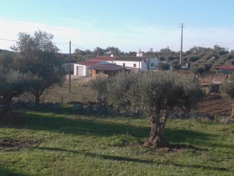 38 Hectares - Quinta Agrícola no Alqueva - Reguengos de Monsaraz!
