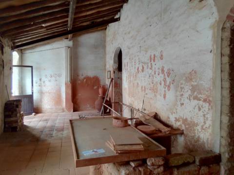 ANTIGA OLARIA