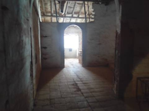 ANTIGA OLARIA