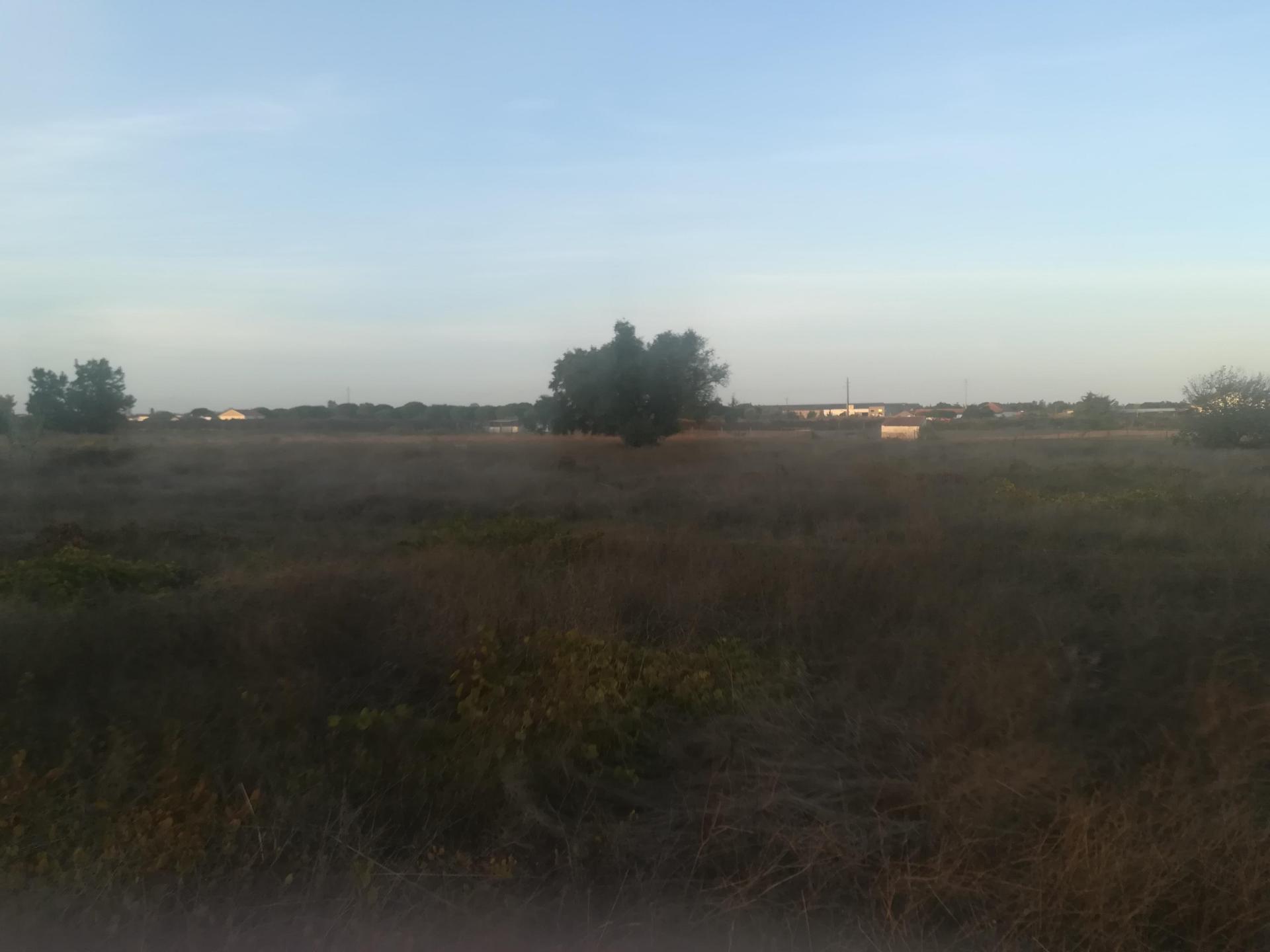 Terreno Misto em Vale da Pedra - Cartaxo