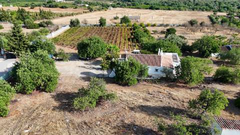 Quinta com duas casas á venda em St. Estêvâo Tavira