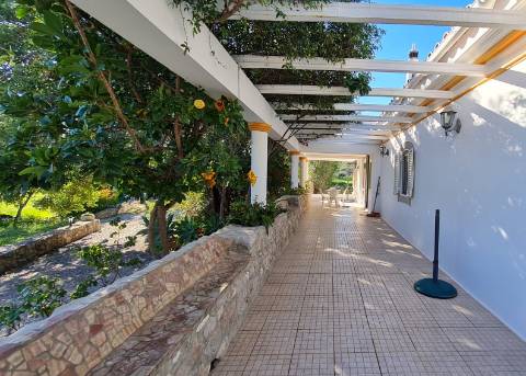 Quinta com duas casas á venda em St. Estêvâo Tavira