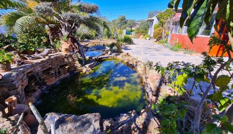 Moradia T3 com piscina á venda em Quelfes, Olhão