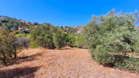 Propriedade rural à venda perto de Santa Catarina Tavira