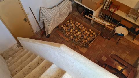 Propriedade rural à venda perto de Santa Catarina Tavira