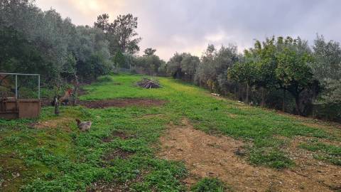 Moradia independente à venda em Luz de Tavira