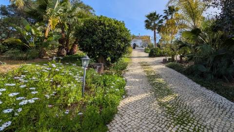 Quinta T4 á venda em Luz de Tavira