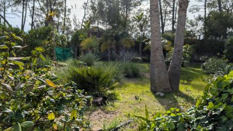 Quinta T4 á venda em Luz de Tavira
