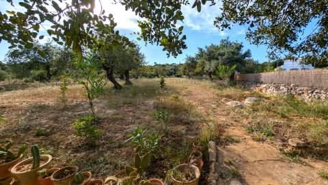 Casa de Campo T2 + T1 Independente | Santo Estevão, Tavira