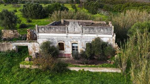 Quinta com 36.960m² à Venda na Fuseta - Junto à Ria Formosa