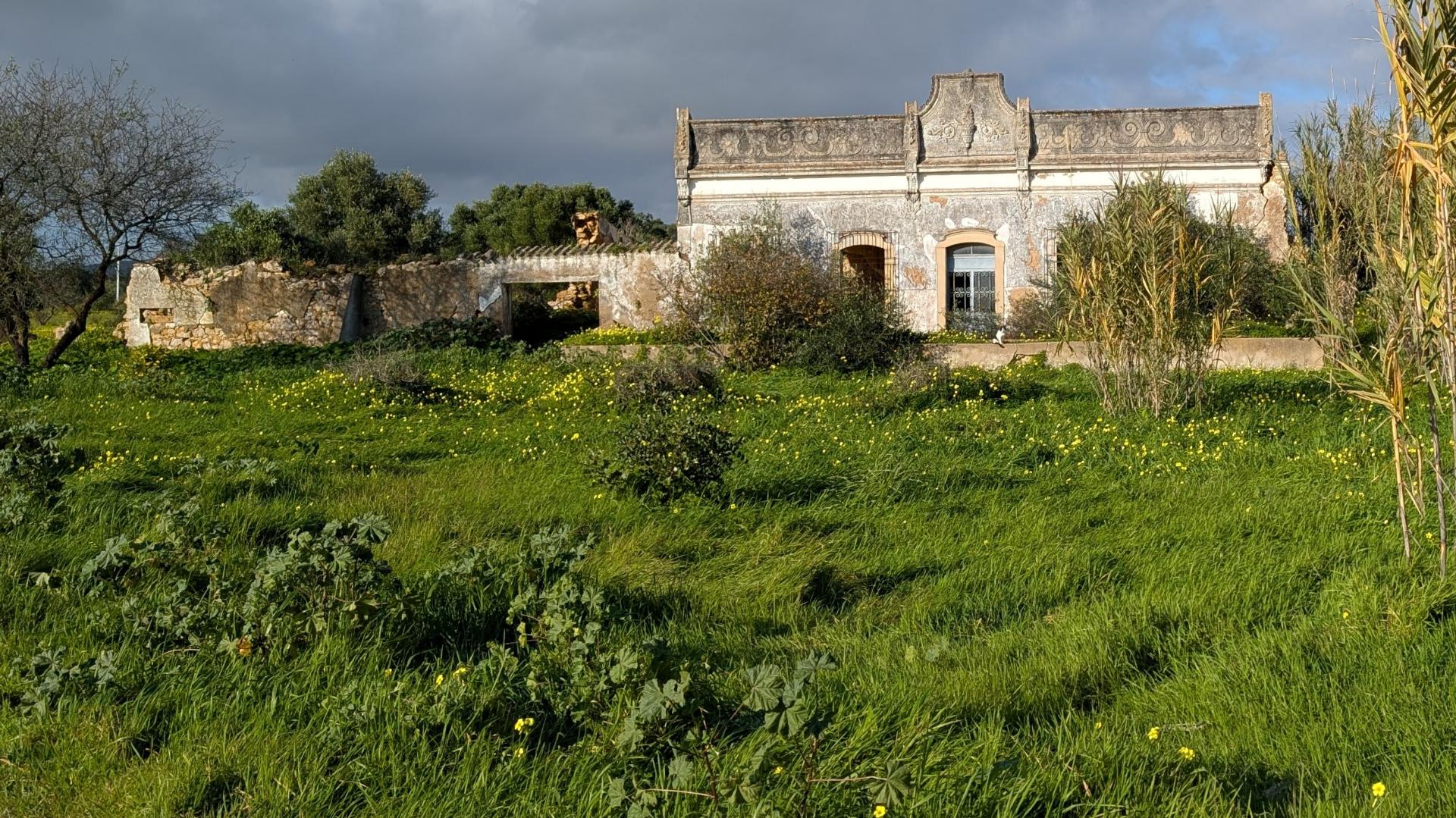 Quinta com 36.960m² à Venda na Fuseta - Junto à Ria Formosa