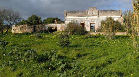 Quinta com 36.960m² à Venda na Fuseta - Junto à Ria Formosa