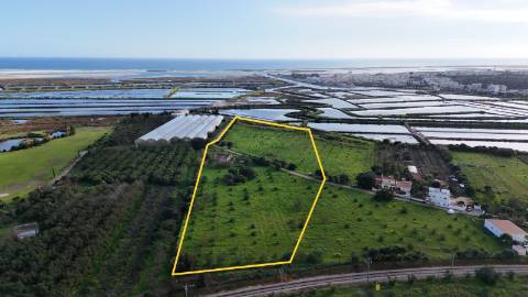 Quinta com 36.960m² à Venda na Fuseta - Junto à Ria Formosa