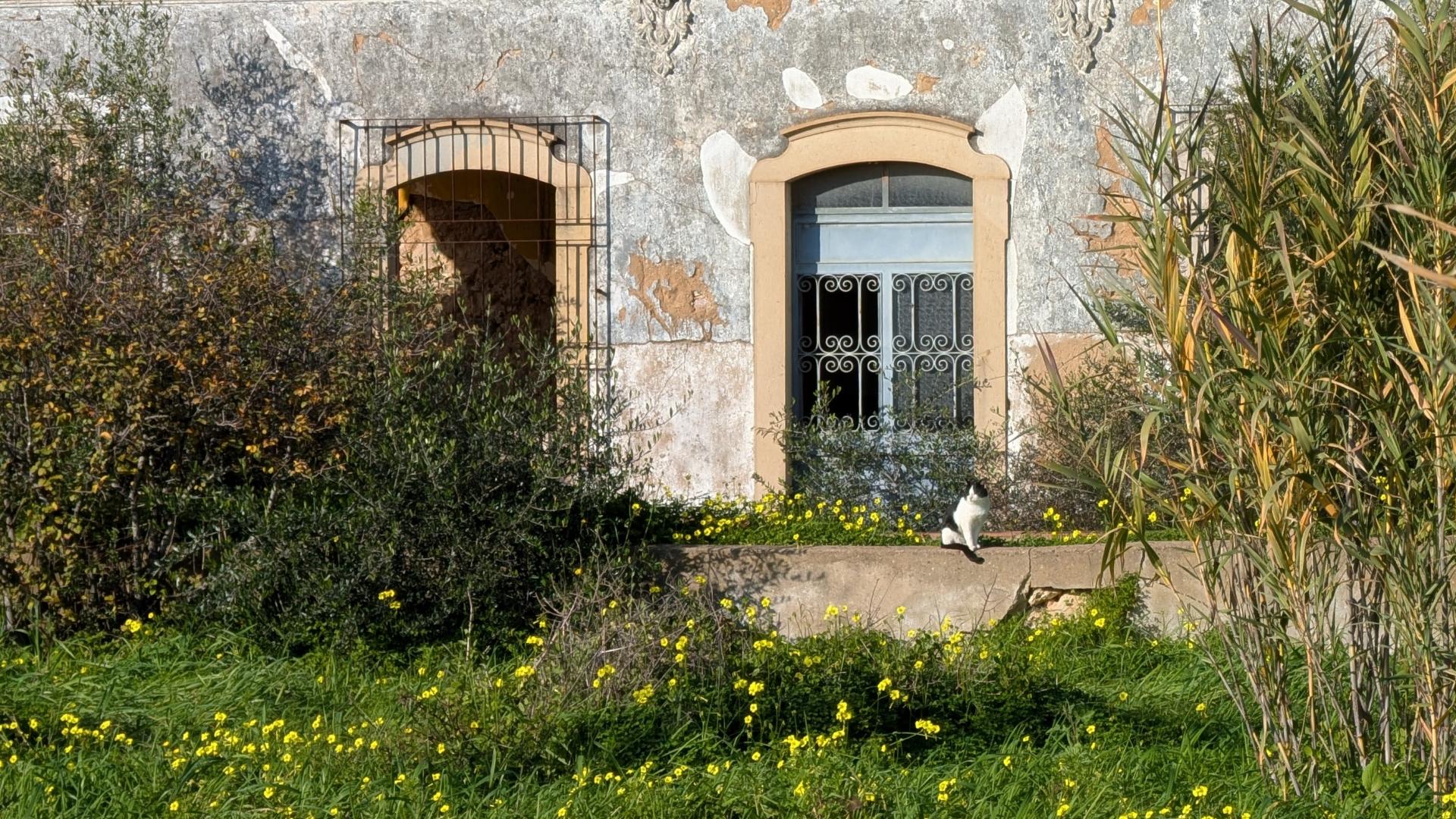 Quinta com 36.960m² à Venda na Fuseta - Junto à Ria Formosa