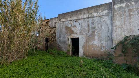 Quinta com 36.960m² à Venda na Fuseta - Junto à Ria Formosa