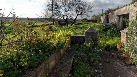 Quinta com 36.960m² à Venda na Fuseta - Junto à Ria Formosa