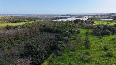 Quinta com 36.960m² à Venda na Fuseta - Junto à Ria Formosa