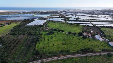 Quinta com 36.960m² à Venda na Fuseta - Junto à Ria Formosa