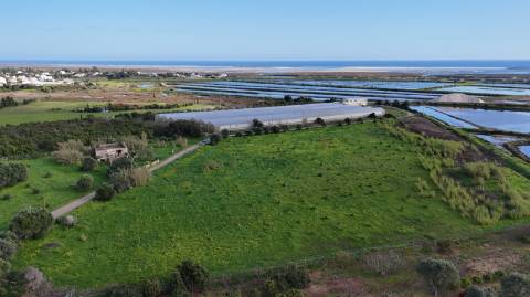 Quinta com 36.960m² à Venda na Fuseta - Junto à Ria Formosa
