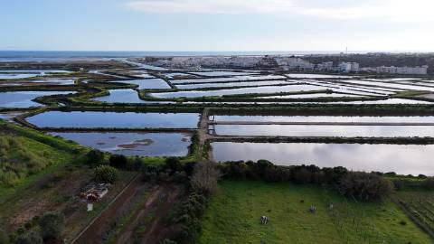 Quinta com 36.960m² à Venda na Fuseta - Junto à Ria Formosa
