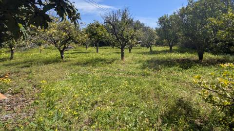 Terreno com duas casas: oportunidade em Santo Estêvão, Tavira