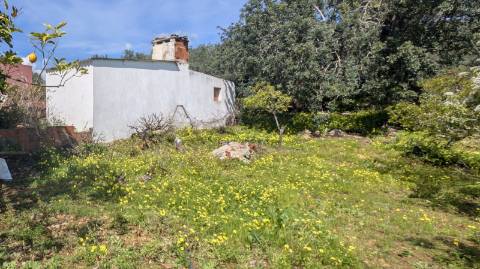 Terreno com duas casas: oportunidade em Santo Estêvão, Tavira