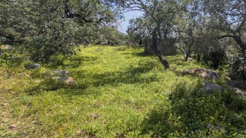 Terreno com duas casas: oportunidade em Santo Estêvão, Tavira