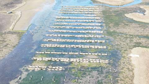 lote de terreno para construção na Luz de Tavira