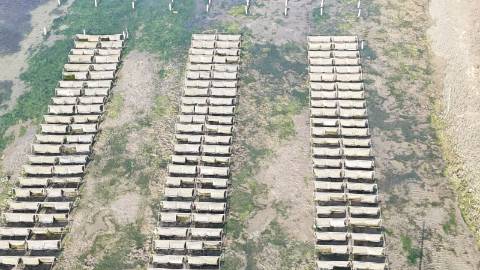 Lote para construção de moradia perto de Tavira