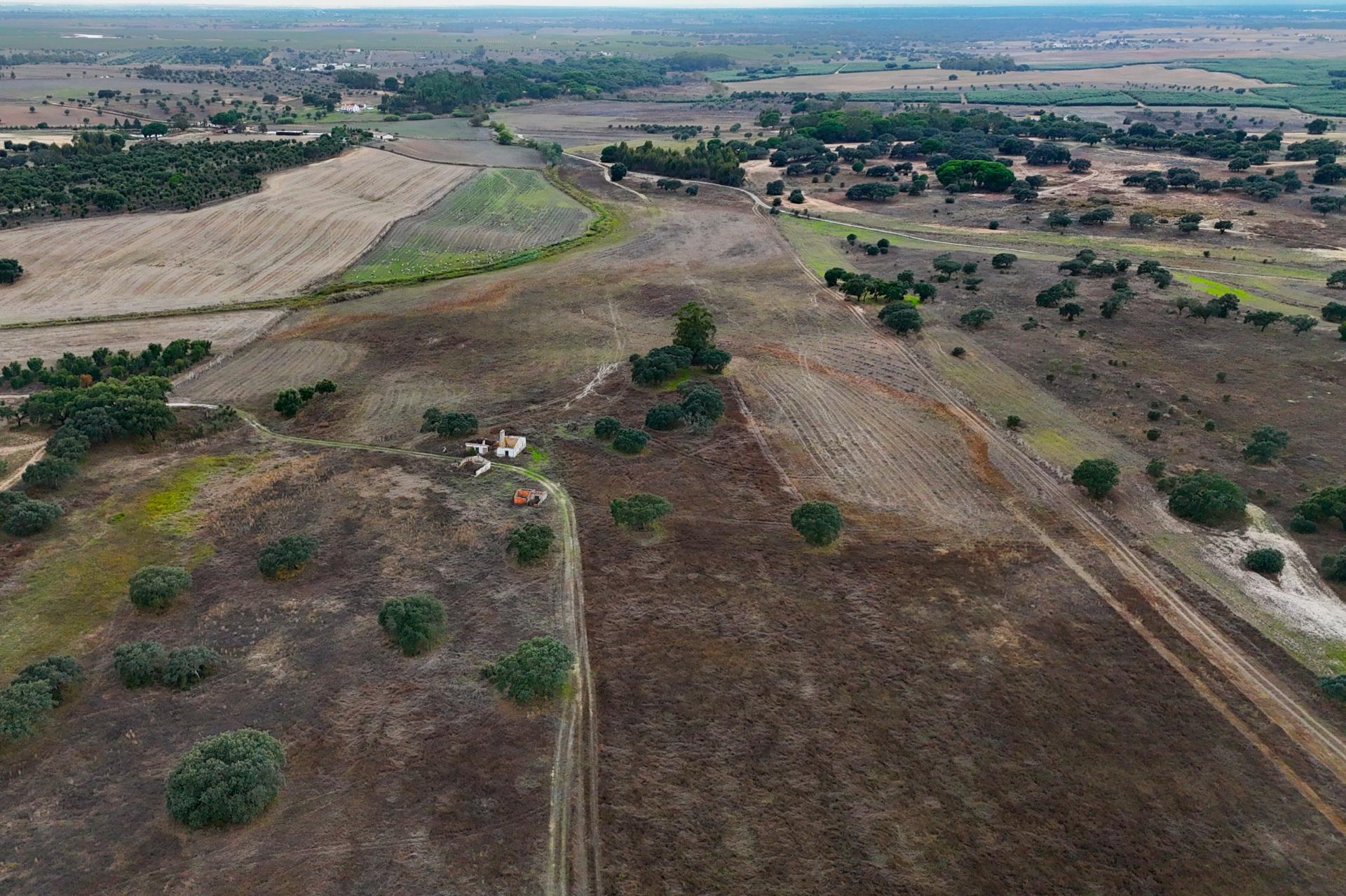 Herdade de 22,45 Hectares no Alentejo com Ruína de 240 m² e Potencial Único
