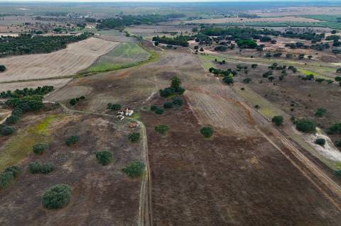 Herdade de 22,45 Hectares no Alentejo com Ruína de 240 m² e Potencial Único
