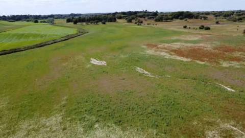 Herdade de 22,45 Hectares no Alentejo com Ruína de 240 m² e Potencial Único
