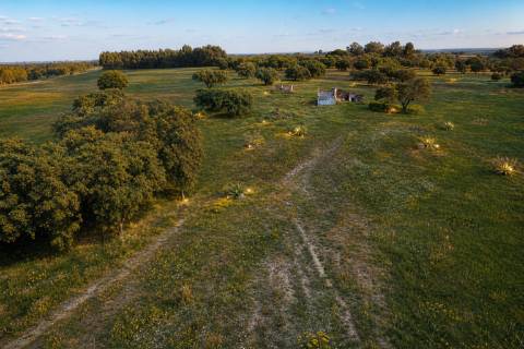 Herdade de 22,45 Hectares no Alentejo com Ruína de 240 m² e Potencial Único
