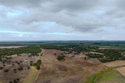 Herdade de 22,45 Hectares no Alentejo com Ruína de 240 m² e Potencial Único
