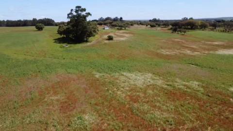 Herdade de 22,45 Hectares no Alentejo com Ruína de 240 m² e Potencial Único
