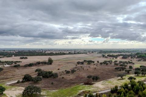 Herdade de 22,45 Hectares no Alentejo com Ruína de 240 m² e Potencial Único
