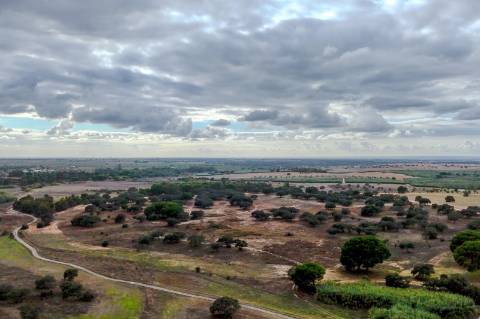 Herdade de 22,45 Hectares no Alentejo com Ruína de 240 m² e Potencial Único
