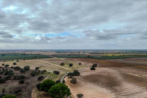 Herdade de 22,45 Hectares no Alentejo com Ruína de 240 m² e Potencial Único
